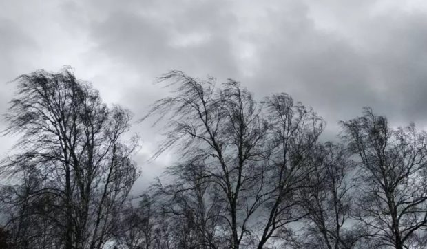 Avertizare meteo ANM în București și în mai multe județe: cod galben de vânt puternic