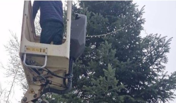 Brad de pe un mormânt, tăiat de Primăria Drăgășani și împodobit în centrul orașului de Crăciun