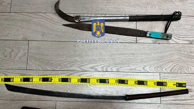 Tribunalul Brăila a pedepsit serios doi frați care au tăbărât cu bâtele și furca pe un bărbat, în dosarul „Pășunea criminală”