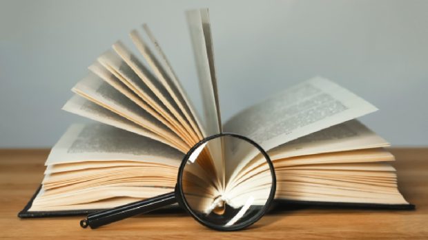 Cuvântul anului 2025 pe DEX Online: sinecură. „Nu-i de mirare”