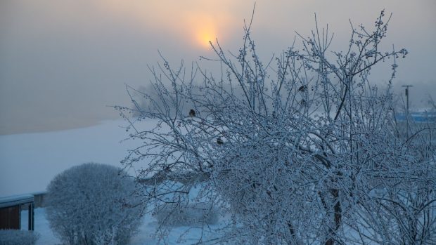 Meteorologii ANM au emis o alertă de ger: până la -20 de grade în Moldova. Ger, viscol și polei până miercuri