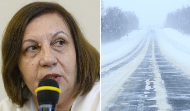 Elena Mateescu, director ANM, anunță ninsori, viscol și zăpadă de 30 de centimetri în mai multe zone