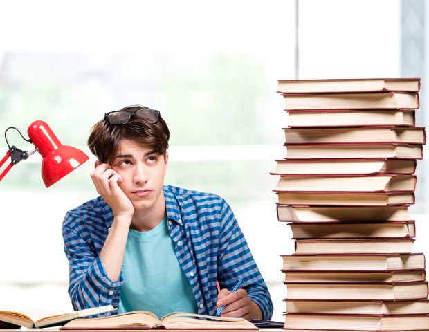 Austria reduce vacanța elevilor cu note mici la limba germană