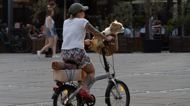 Amendă primită degeaba de o femeie acuzată că a vorbit la telefon pe bicicletă: „Merg pe jos la muncă, nici nu mai am bicicletă”