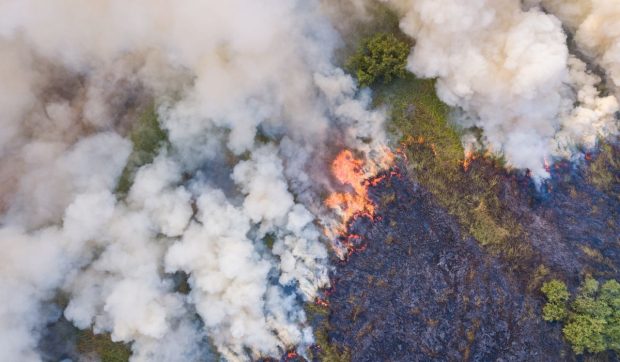 Pericol de incendii majore, după ce temperaturile au ajuns la aproape 50 de grade în Australia