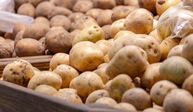 4.000.000 de kilograme de cartofi sunt în pericol să se strice în Germania. Cum încearcă autoritățile să-i salveze