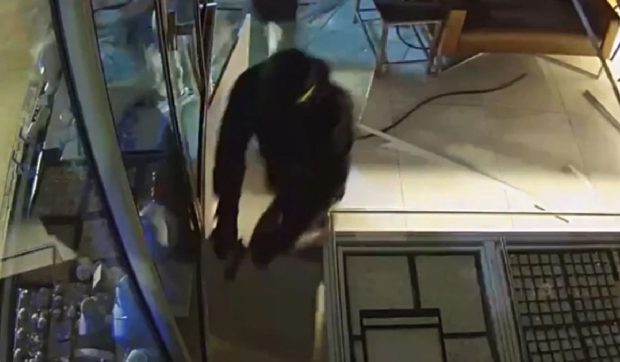 Panterele Roz au furat bijuterii de 1.000.000 de euro în doar două minute. Jaful a fost filmat într-un mall din Germania