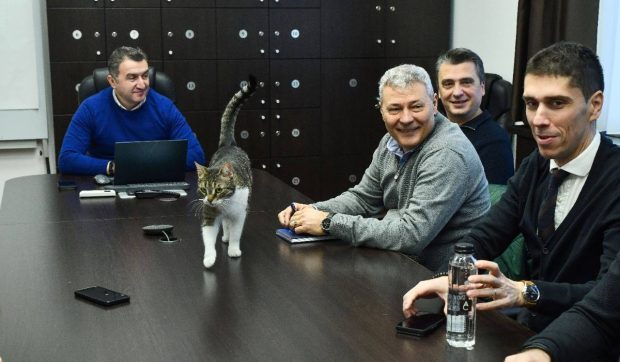 Pisica-vedetă a Primăriei Sectorului 6, găsită de un pompier după ce a fost furată: „Vă rugăm să nu o mai luați pe Jessy!”