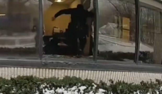 Un cerb a declanșat alarma de jaf la o bancă din New York și a mobilizat mai mulți agenți. Unde a fost găsit animalul | VIDEO