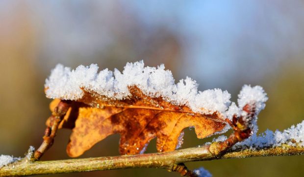 Temperaturi neobișnuite în România, la final de ianuarie. Prognoza meteo ANM pe regiuni până pe 8 februarie