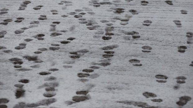 Vremea în perioada 12 ianuarie – 8 februarie 2026. Urmează un val de frig, apoi temperaturile cresc peste normalul perioadei