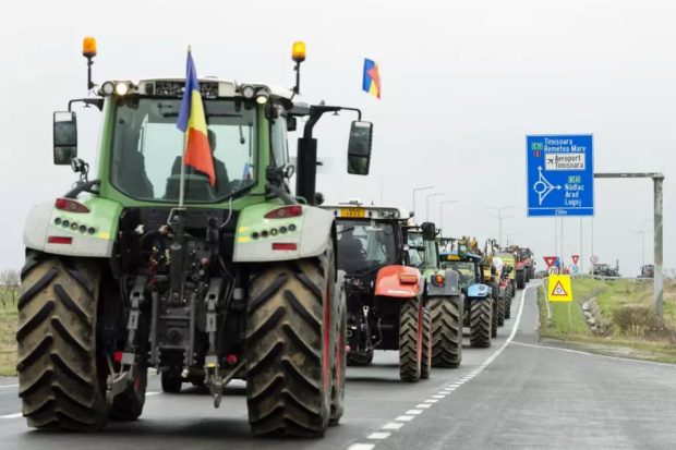Cât de întemeiate sunt protestele agricultorilor? Studiu de caz: viticultura
