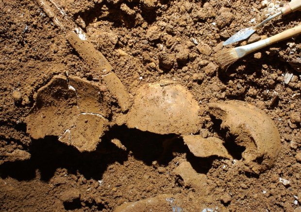 Cea mai veche dovadă de incest, descoperită în ADN-ul antic, în timpul săpăturilor arheologice, în Italia