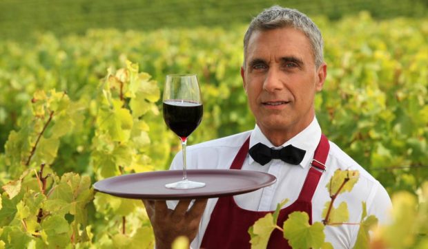 Un nou tip de vin de Bordeaux apare din cauza schimbărilor climatice. Ce se schimbă în una dintre cele mai cunoscute regiuni viticole