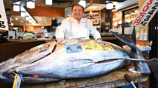 Suma record plătită de „Regele tonului” din Japonia pentru un pește de 243 de kilograme