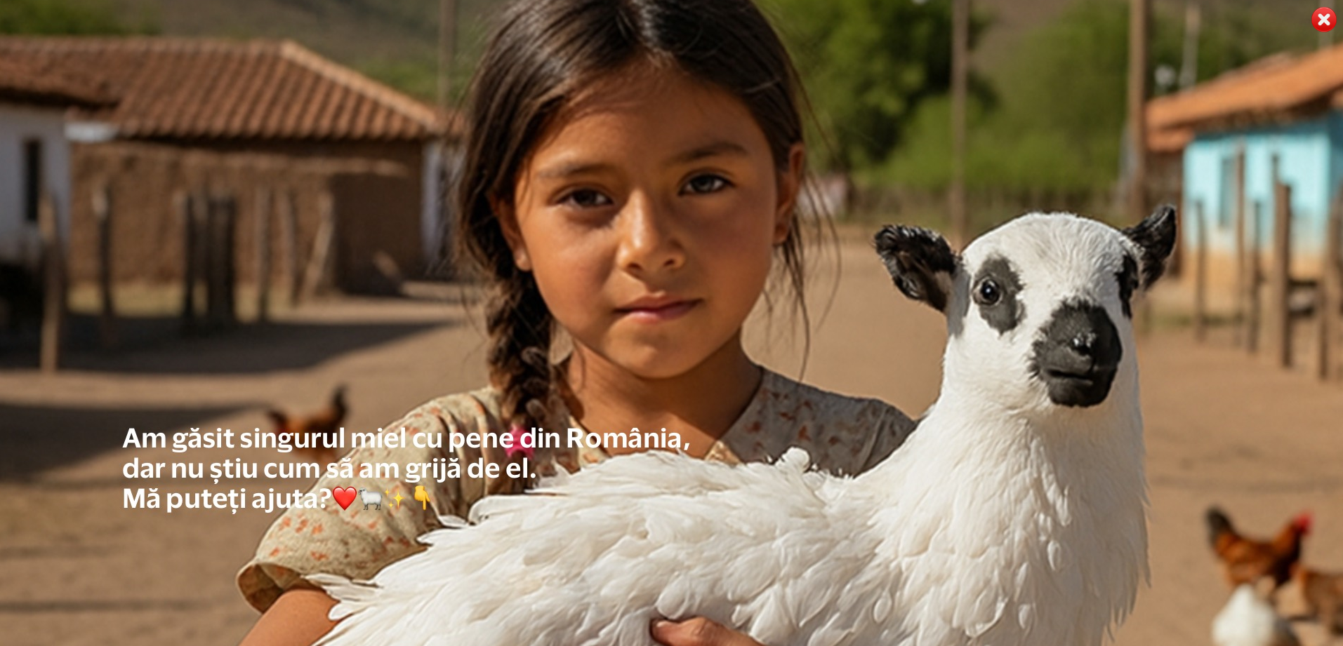 Poza pentru articolul Real sau creat cu AI? Cum se descurcă românii în fața fraudelor din online