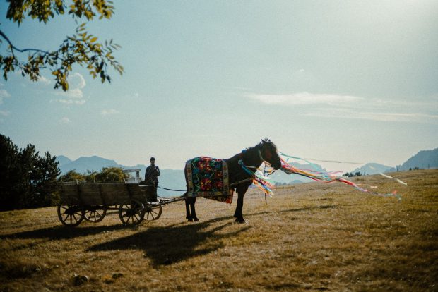 „Catane” – o comedie neagră plină de culoare