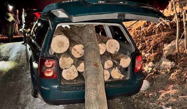 Câți bușteni încap într-un Volkswagen Passat. Descoperirea polițiștilor din Brașov