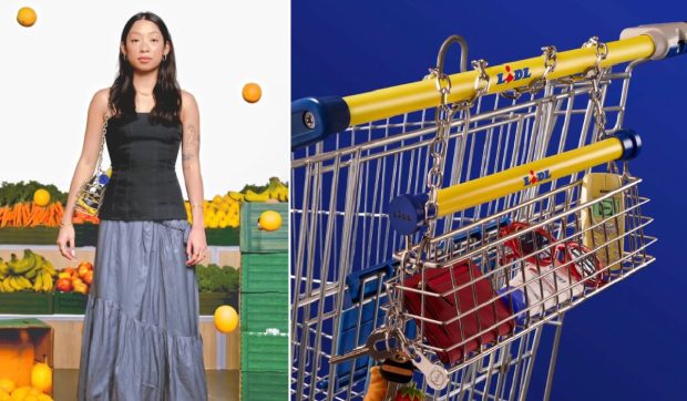 Cum arată noua geantă de mână de la Lidl, inspirată de căruciorul de cumpărături. Clienții o pot obține gratuit