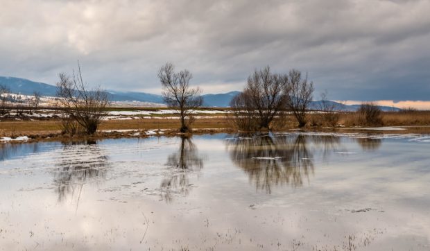 Cod galben de inundații pe râurile din opt județe din România, valabil până joi: sfaturile autorităților pentru populație