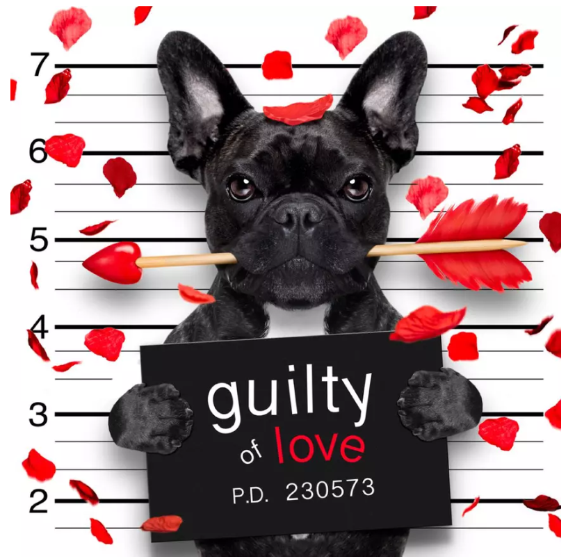 Mesaje amuzante de Sfântul Valentin