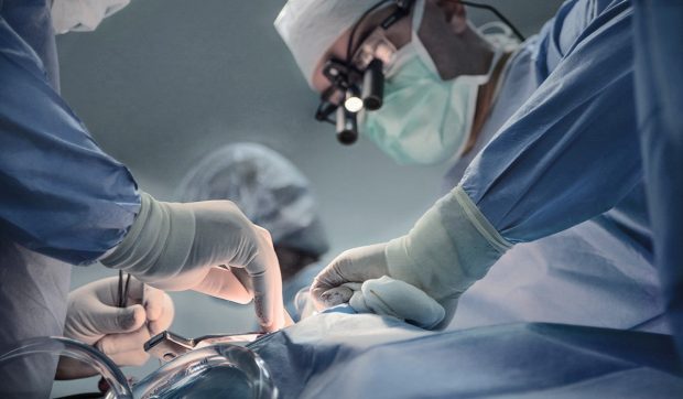 În zece zile, 17 oameni au primit a doua șansă. Ce povestesc medicii despre ,,maratonul transplanturilor”