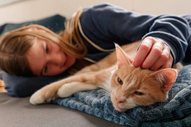 Elveția, țara cu peste 1,5 milioane de pisici: care sunt costurile reale de întreținere a animalelor de companie