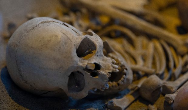 O prințesă romană a fost găsită într-un sicriu vechi din trunchi de copac, căzut de pe o stâncă acum 100 de ani