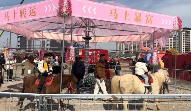 Un carusel cu cai vii dintr-o zonă turistică a stârnit revoltă în China: „Nu amețește calul dacă se învârte în cerc tot timpul?”