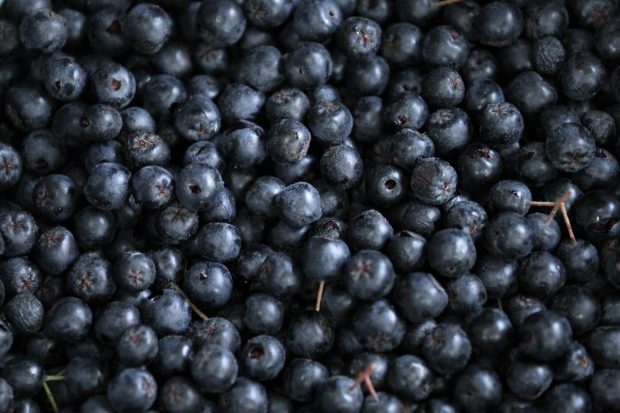 5 motive pentru care aronia este considerată un „super-fruct” și cum să o consumi corect