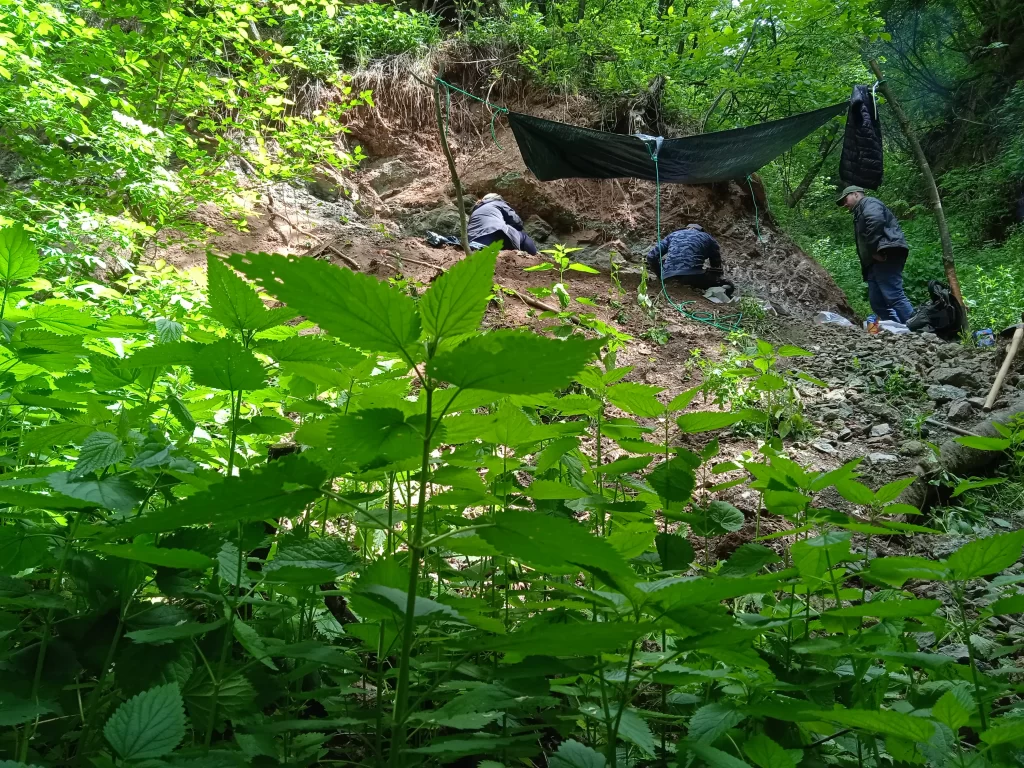 Imagine din timpul lucrărilor în sit. Foto: Vălioara Dinosaur Research Group (VDRG).
