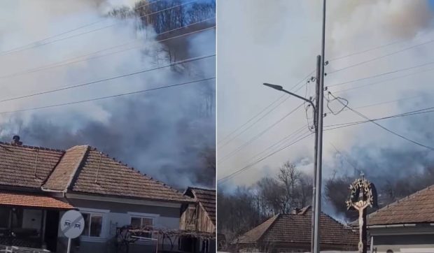 Un bărbat din Cluj a vrut să-și ardă gunoiul și era cât pe ce să incendieze o pădure: „Ne arde Așchileu!” | VIDEO