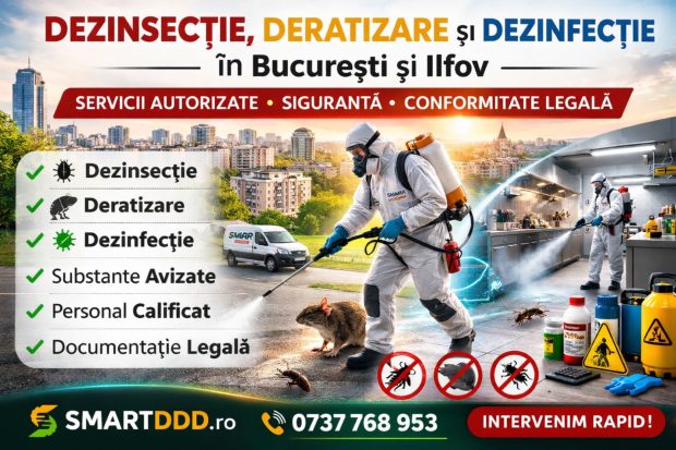 Ploșnițe de pat în casă? Cum scapi rapid prin tratament profesional