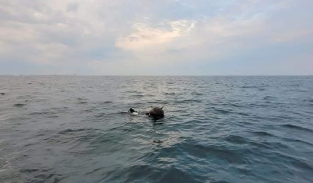 Ministerul Apărării se ceartă cu Ambasada Rusiei la București despre originea minelor marine în derivă în Marea Neagră