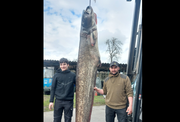 Un pescar a prins un somn uriaș de 109 kilograme și 2,6 metri: „Am reușit cumva să-l înving”