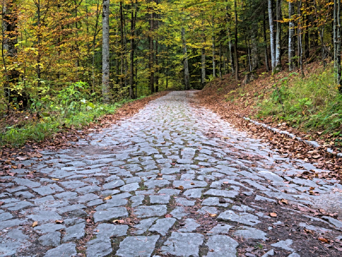Poteca Image Poteca Regală din Sinaia - drumul de la Castelul Peleş la Poiana Stânii