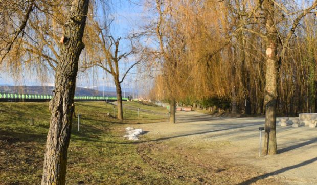 Vremea se răcește și apar ploile în România, de săptămâna viitoare. Prognoza meteo ANM în perioada 9 – 23 martie 2026