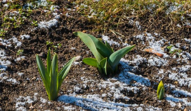 Vremea se schimbă de la mijlocul săptămânii viitoare. Prognoza meteo ANM în perioada 16 martie – 12 aprilie 2026