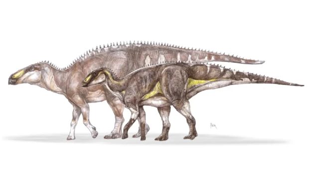 Noua specie de dinozaur descoperită în Geoparcul Țara Hațegului