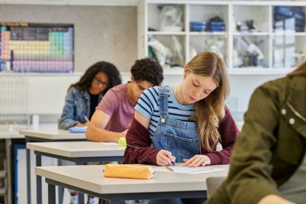 Simulare Bacalaureat 2026 la Limba și literatura română – modele de subiecte