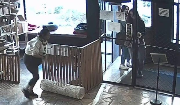 Tentativă de furt de pisică eșuată într-o cafenea populară din Polonia: ce a făcut felina în ultima secundă | VIDEO