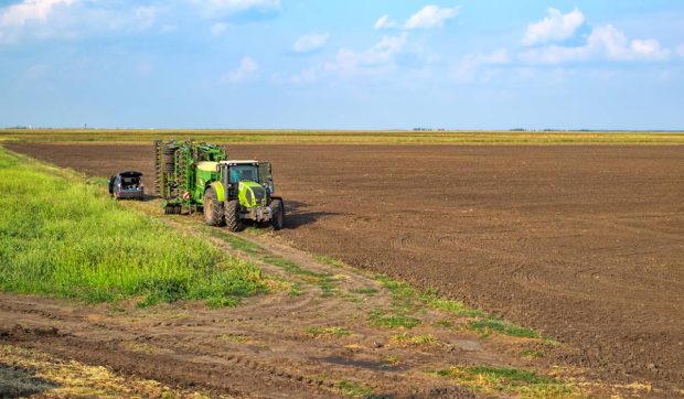 Străinii nu vor mai putea cumpăra nelimitat pământ în România. Câte hectare vor mai avea voie să ia, conform unui nou proiect de lege | VIDEO