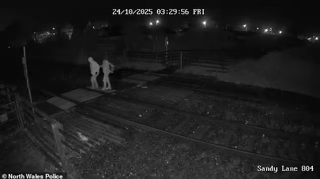 Un adolescent și-a masacrat mama cu un ciocan după ce a ademenit-o într-o zonă retrasă și a postat imaginile online