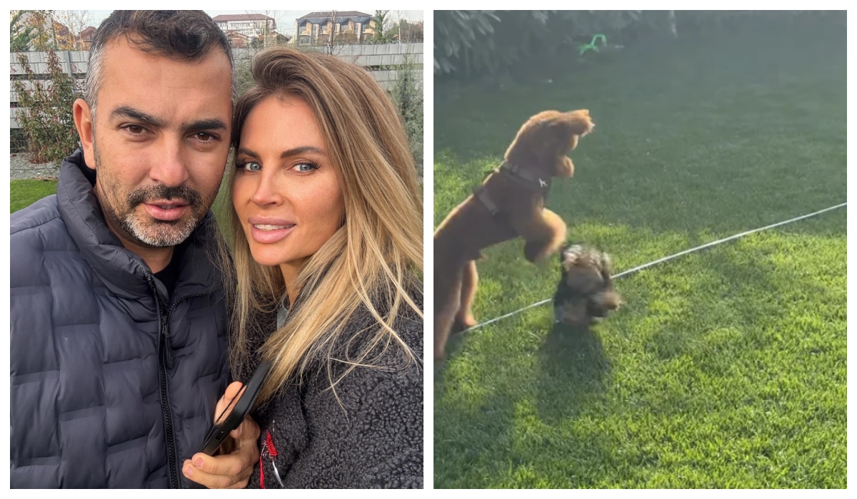 Cum arată grădina casei Andreei Bănică. Artista le-a arătat fanilor imagini din curtea frumos amenajată