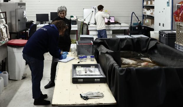Comoara unei nave îngropate în apele franceze de 500 de ani, la 2.500 de metri adâncime, a fost găsită și readusă la suprafață