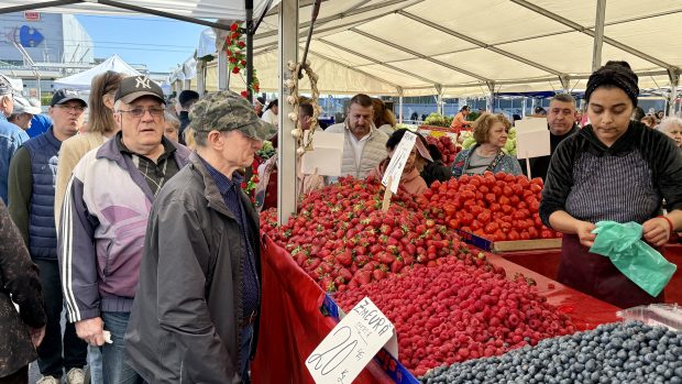 Prețurile căpșunilor românești în piețele din București și preferințele cumpărătorilor între fructele autohtone și cele importate