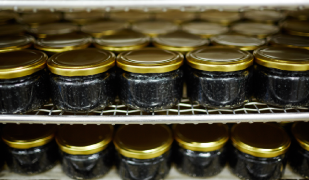O moldoveancă a vrut să transporte 8 kilograme de caviar în valiză, cadou pentru rude de Paște. Vameșii de pe aeroportul din Berlin n-au fost de acord
