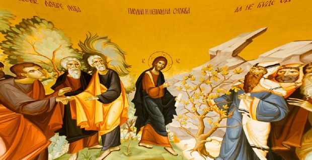 De ce a blestemat Iisus Hristos smochinul