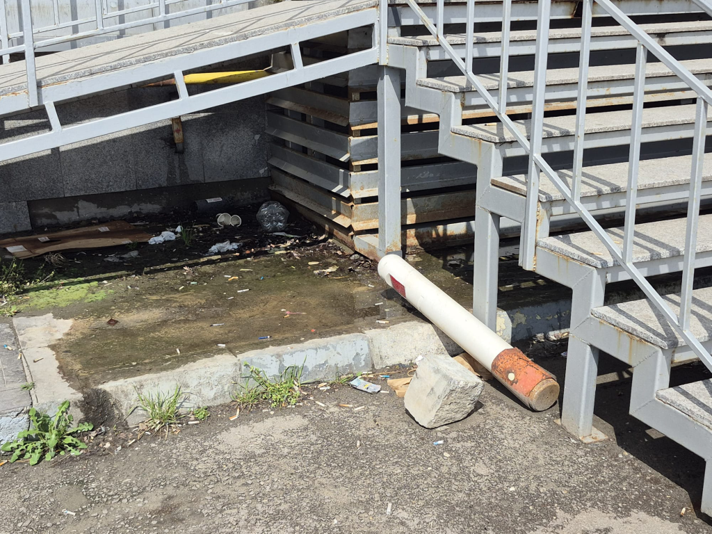 Umezeala și chiștoacele de sub scara care duce la sediul DRPCIV