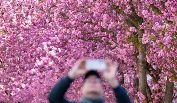 Cum va fi vremea de 1 Mai. Prognoza meteo ANM în perioada 13 aprilie – 10 mai 2026